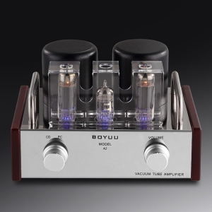 REISONG Boyuu A2 Mini Single-ended 6P14/EL84 Vacuum Tube Amplifier - Click Image to Close