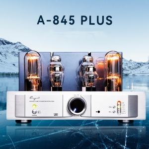 Cayin A-845 PLUS HIFI Power amplifier Home Power Amplifier Gold Pin 845 Vacuum tube Power consumption 380W - Click Image to Close