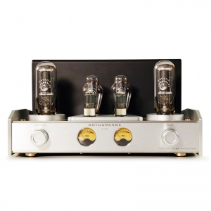 REISONG Boyuu A60 Tube amplifier 845 single-ended high-power amplifier Hi-end Audio HIFI Amp - Click Image to Close